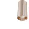 Потолочный светильник MAYTONI FOCUS C010CL-01RG